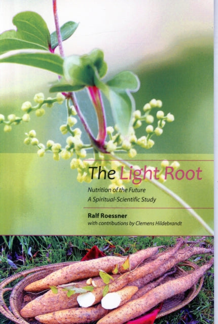 Light Root The