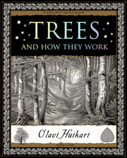 Trees & How They Work