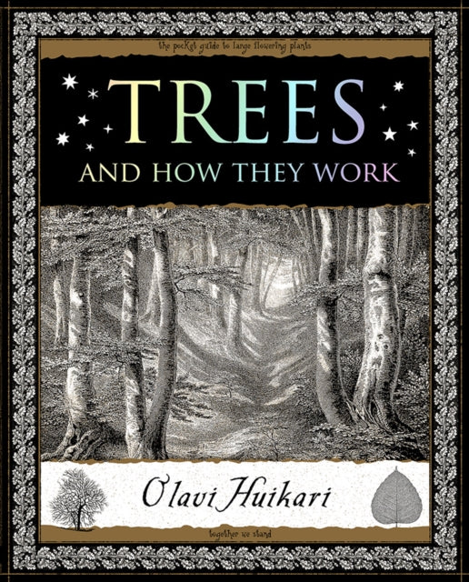 Trees & How They Work
