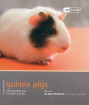 Guinea Pig