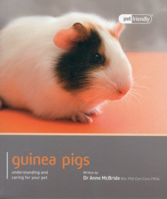 Guinea Pig