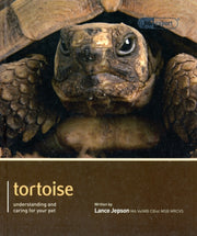 Tortoise