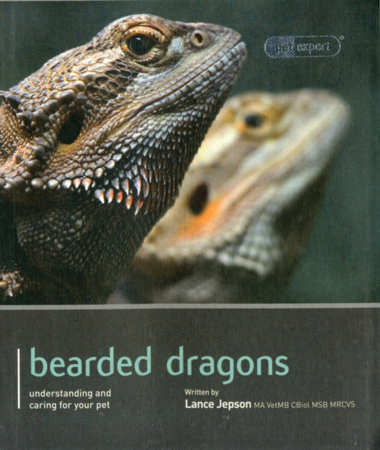 Bearded Dragons