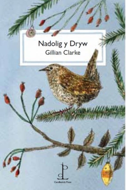 Nadolig Y Dryw (the Christmas Wren)
