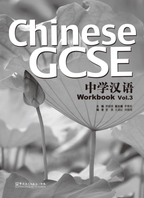 Chinese Gcse Vol3 Workbook