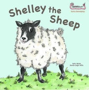 Shelley The Sheep