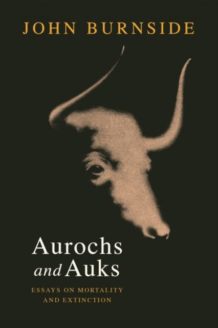 Aurochs & Auks Essays On Extinction