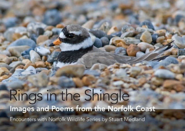 Rings In The Shingle