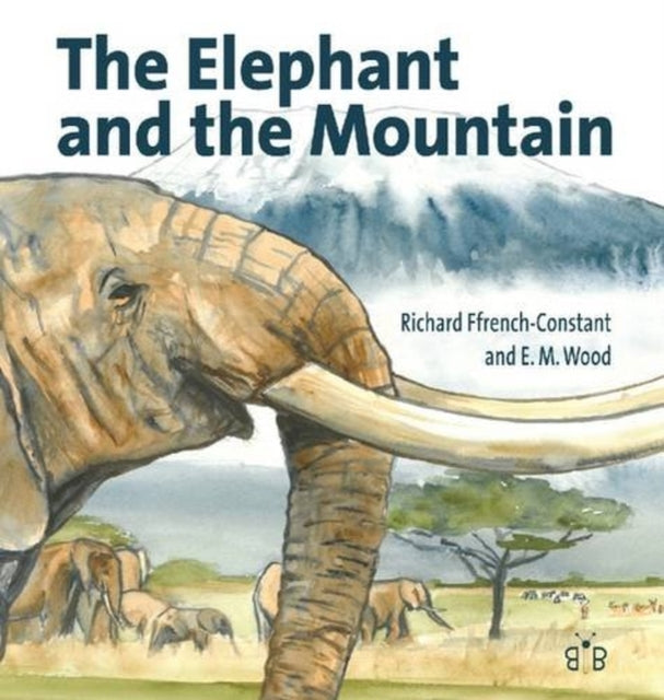 Elephant And The Mountain