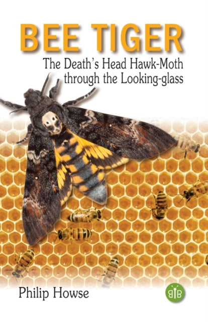 Bee Tiger
