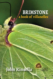 Brimstonea Book Of Villanelles By Kinsella, John