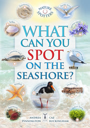 What Can You Spot On The Seashore