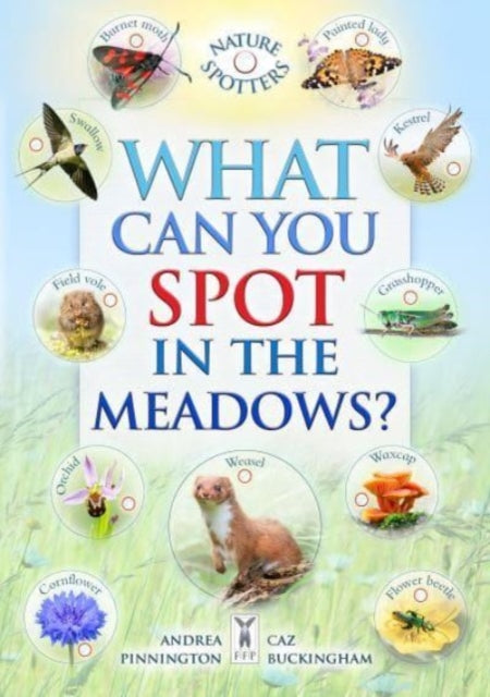 What Can You Spot In The Meadows