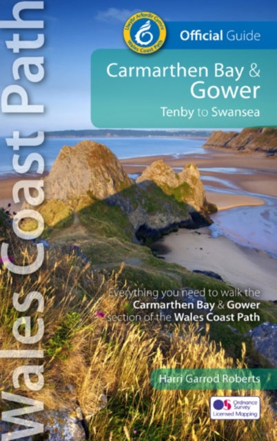 Carmarthen Bay Gower