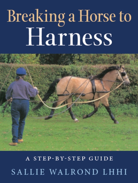 Breaking A Horse To Harness
