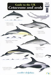 Cetaceans & Seals