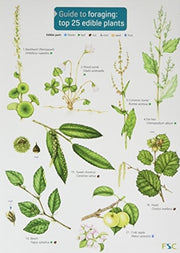 Foraging- Edible Plants