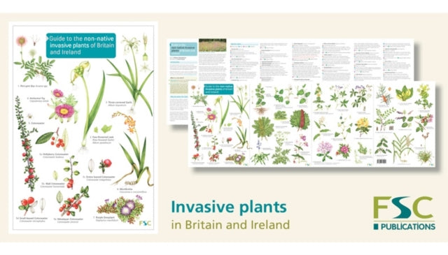 Guide To The Non-native Invasive Plants