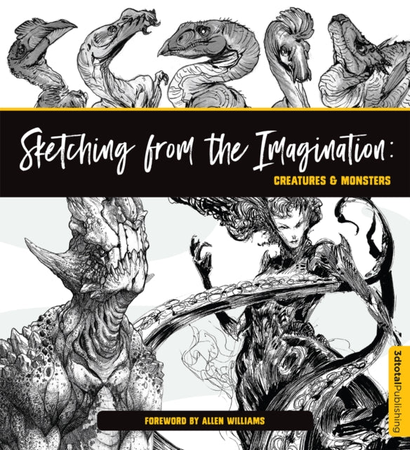 Sketching With Imagination