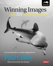 Winning Images With Any Underwater Camer By Colley, Paul