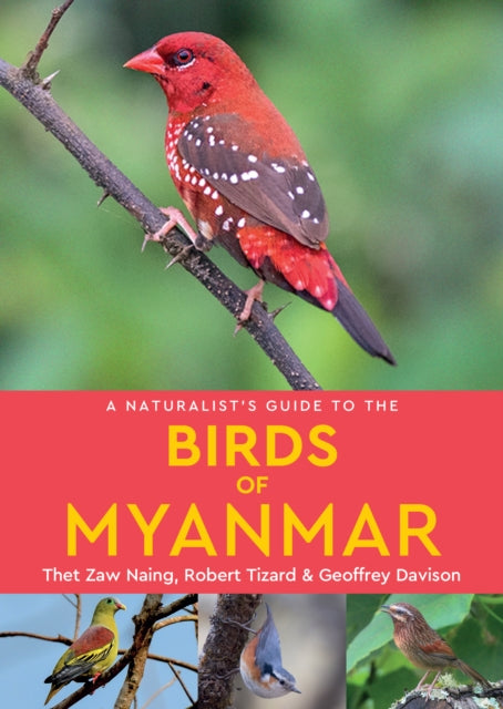 Guide To Birds Of Myanmar By Tizard, Robert