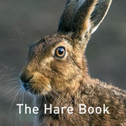 Hare