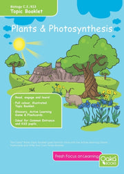Plants Photosynthesis