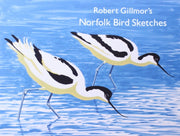 Robert Gillmors Norfolk Bird Sketches