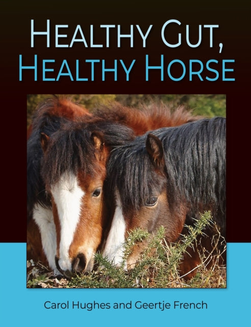 Healthy Gut Healthy Horse By Hughes, Carol