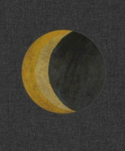 Frank Walter - Music Of The Spheres By Barbara Paca