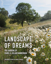 Landscape Of Dreams