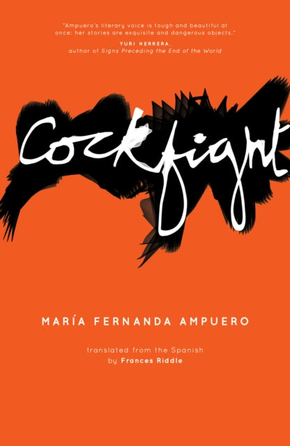 Cockfight By Ampuero, Maria F