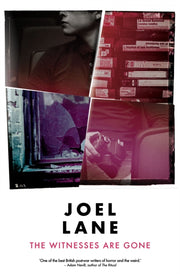 Witnesses Are Gone By Lane, Joel