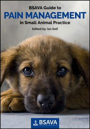 Bsava Guide To Pain Management In Small