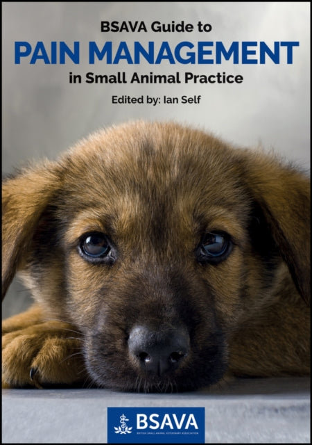 Bsava Guide To Pain Management In Small