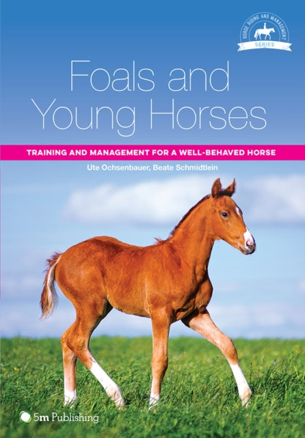 Foals & Young Horses
