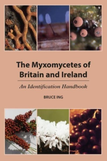 Myxomycetes Of Britain & Ireland By Ing, Bruce