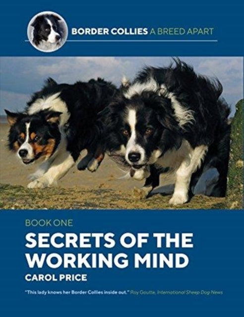 Border Collie Secrets Of / Working Mind