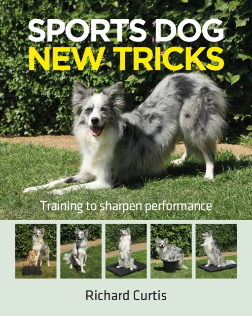 Sports Dogs New Tricks