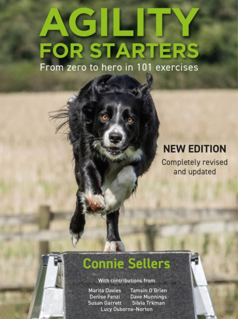 Agility For Starters 2nd Ed