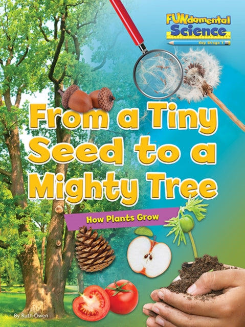 From A Tiny Seed To A Mighty Tree