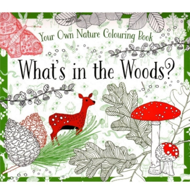 Whats In The Woods Colouring