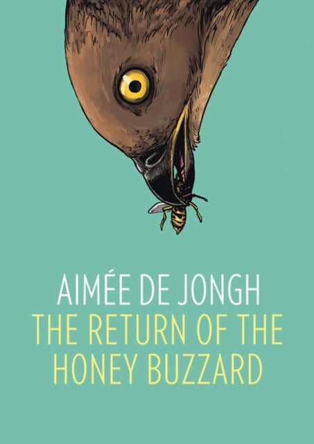 Return Of The Honey Buzzard