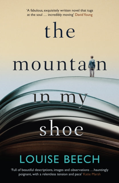 Mountain In My Shoe