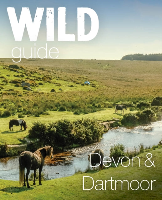 Devon & Dartmoor
