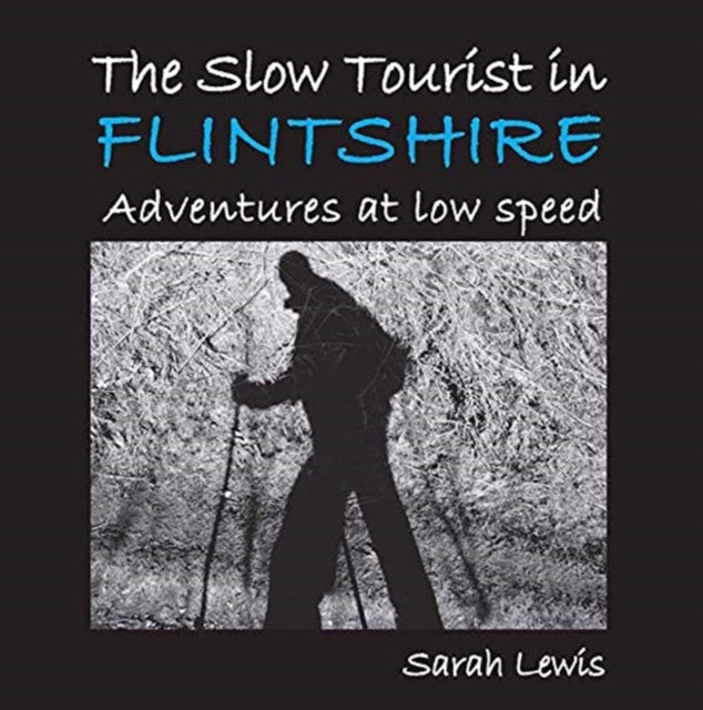 Slow Tourist In Flintshire