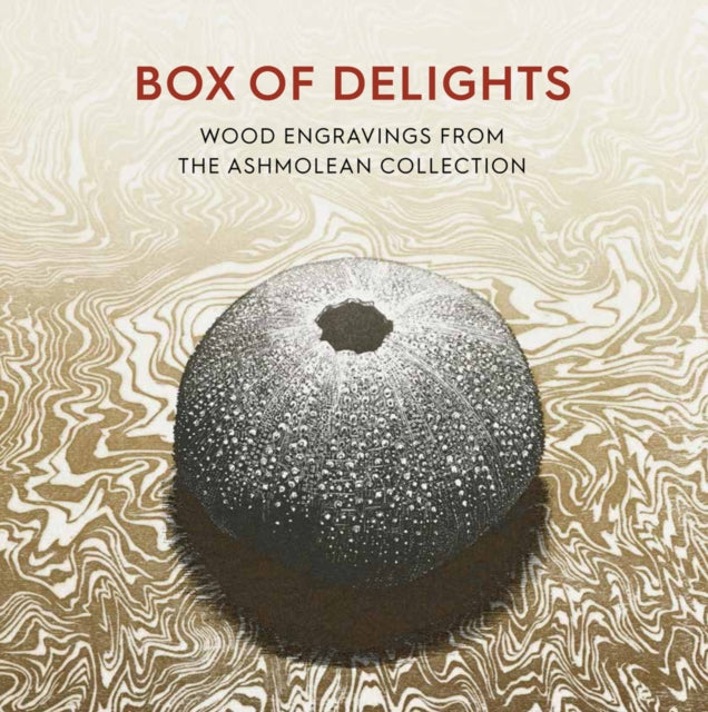 Box Of Delights By Box Of Delights