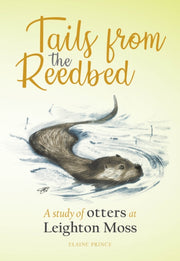 Study Of Otters At Leighton Moss