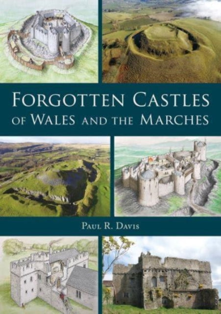 Forgotten Castles Of Wales & The Marches By Davis, Paul R