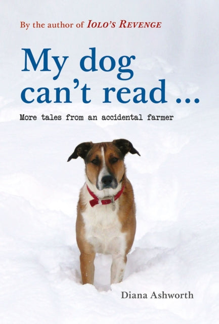My Dog Cant Read